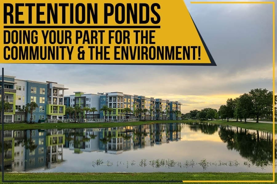 Beautify retention ponds preventing downstream flooding and protecting homes and businesses from damage.